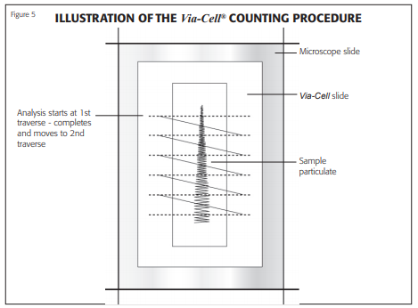 viacell counting procedure